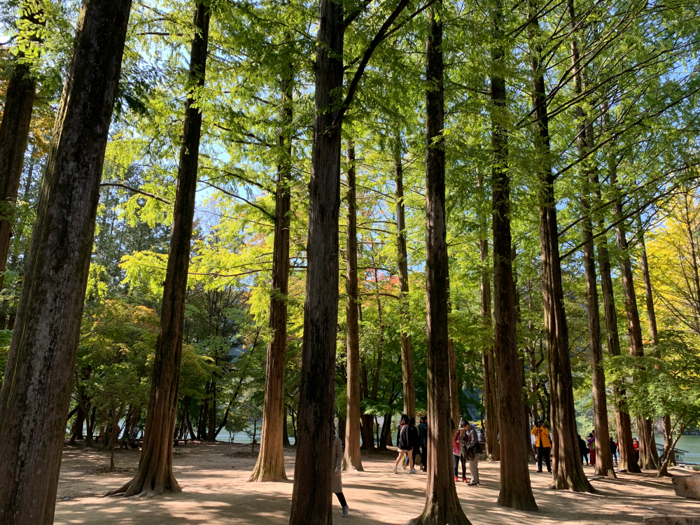 【首爾】TOP 7必去旅遊打卡景點 !