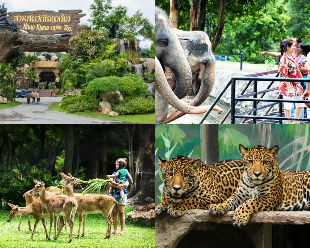 芭達雅綠山野生動物園